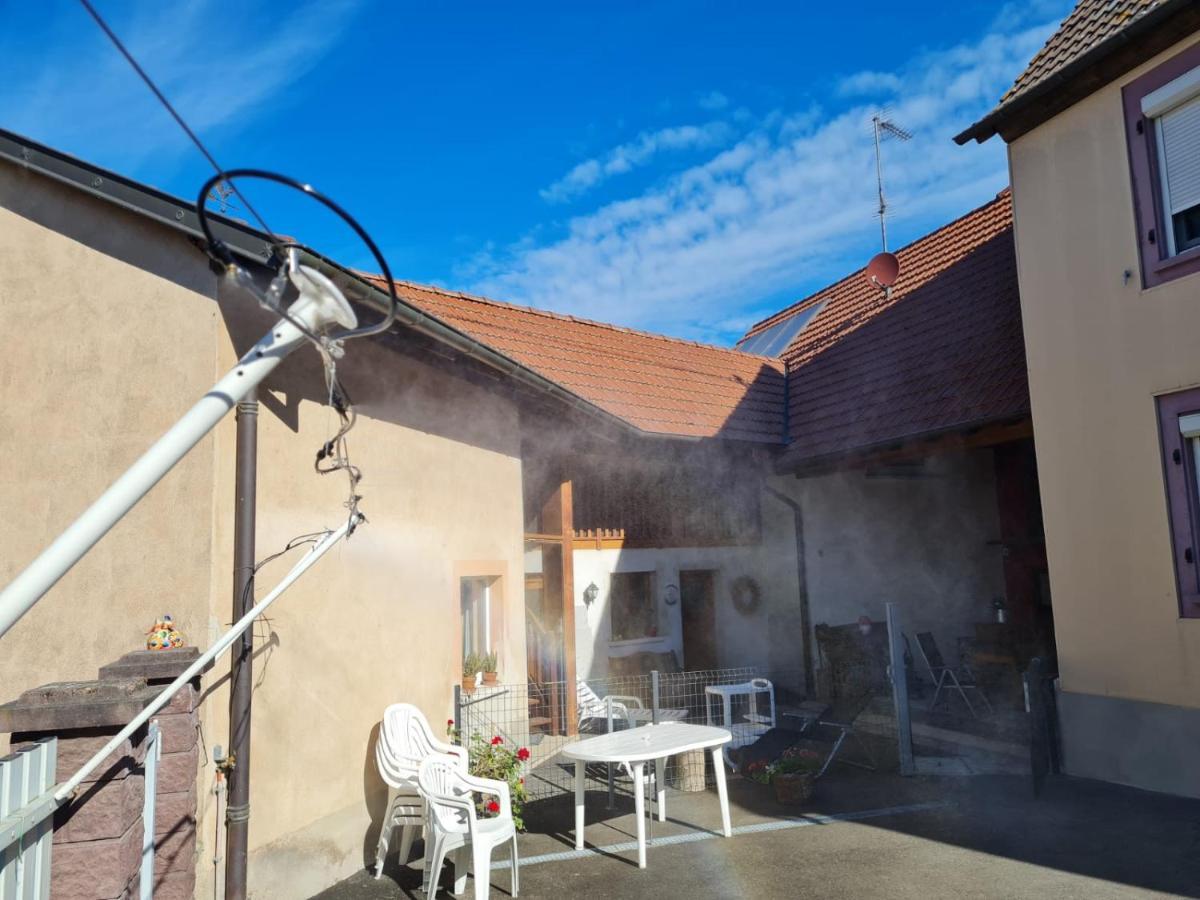 Les Chouchous Du Ried 1 Saasenheim Exterior foto